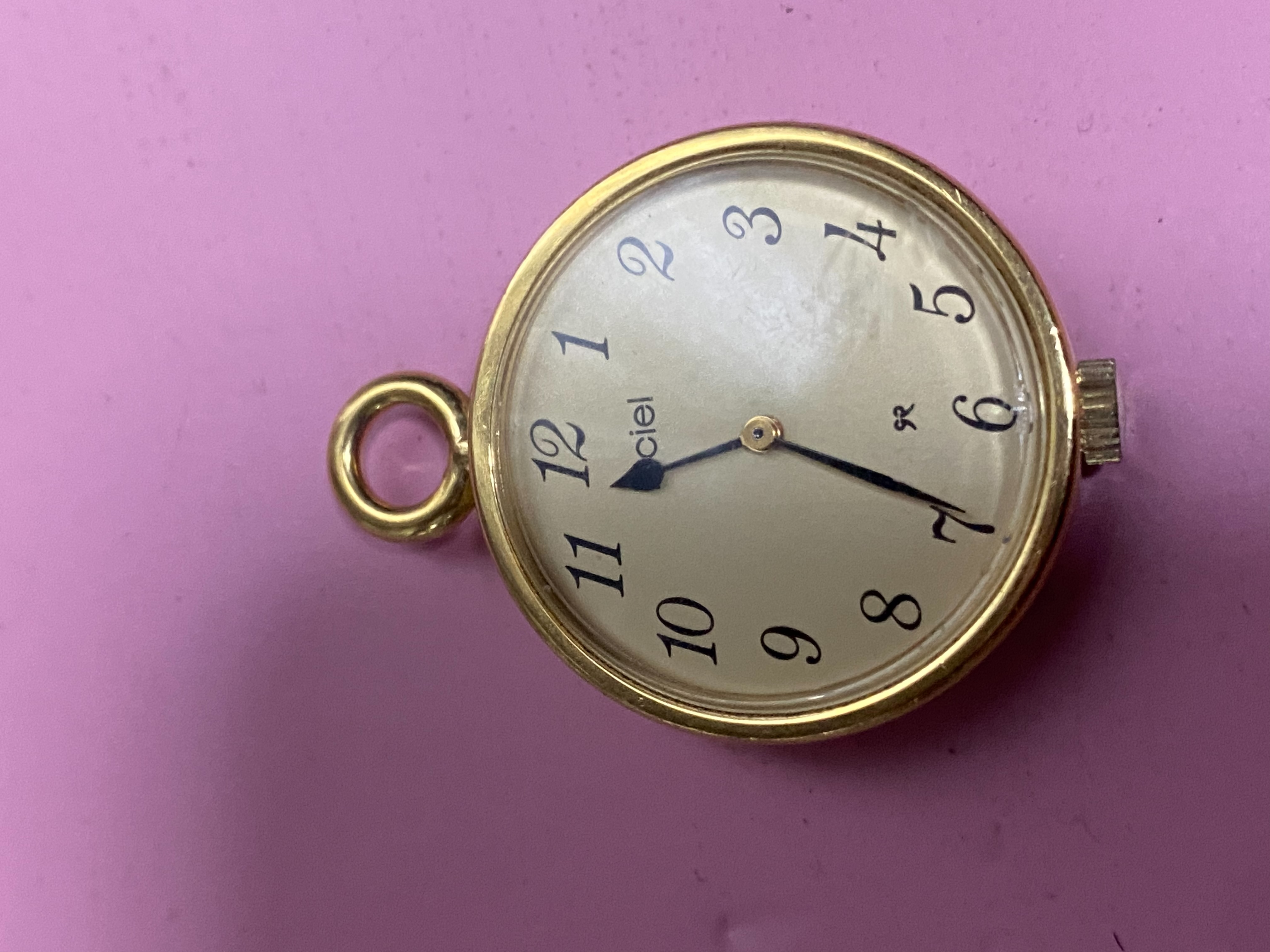 นาฬิกาพก (Pocket Watch) หรือนาฬิกาจี้ (Pendant Watch) 